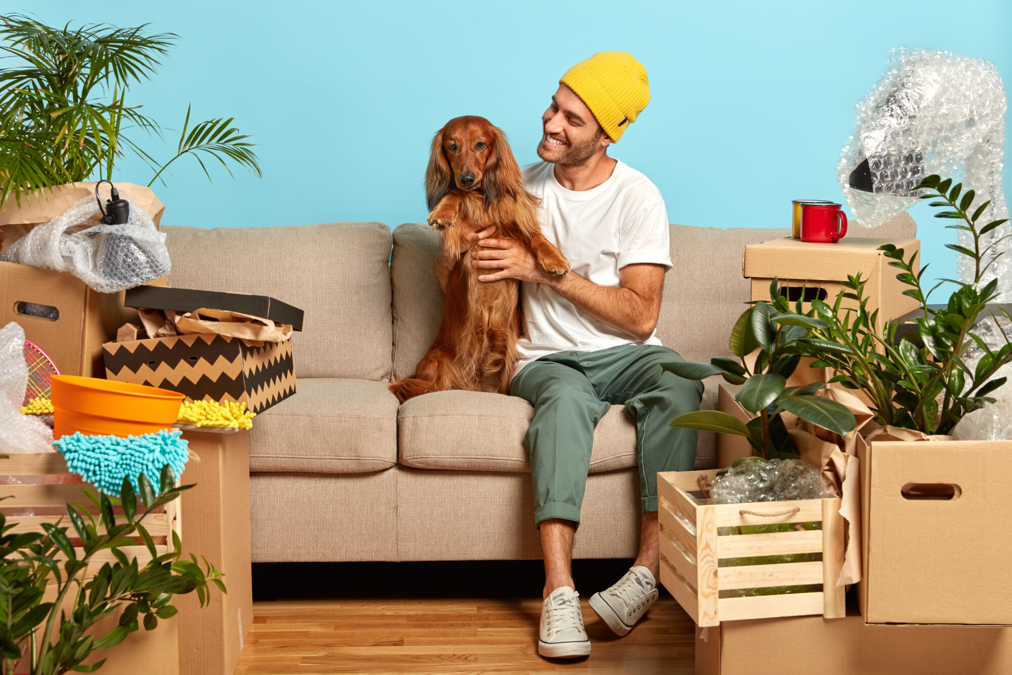 Pros and Cons of Allowing Pets in Your Denver, CO Rental Property